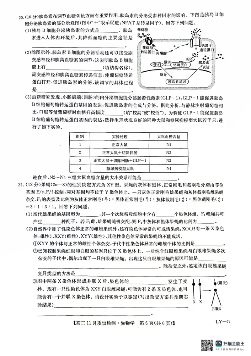 2025届高三上学期12月联考生物试题_A1502026各地模拟卷（超值！）_12月_241207九师联盟2025届高三12月联考（11月质量检测巩固卷）