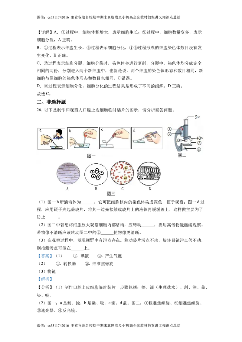 精品解析：北京市大兴区第二中学2022-2023学年七年级上学期期中生物试题（解析版）(1)_北京初中期末题_C605-京七八九_B京生物七八九_北京7上生物_2022-2024_北京生物7上期中