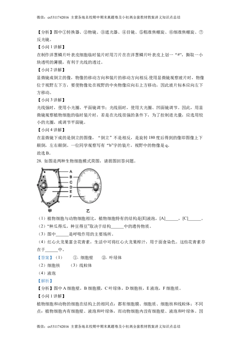 精品解析：北京市大兴区第二中学2022-2023学年七年级上学期期中生物试题（解析版）(1)_北京初中期末题_C605-京七八九_B京生物七八九_北京7上生物_2022-2024_北京生物7上期中