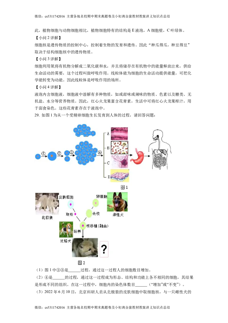 精品解析：北京市大兴区第二中学2022-2023学年七年级上学期期中生物试题（解析版）(1)_北京初中期末题_C605-京七八九_B京生物七八九_北京7上生物_2022-2024_北京生物7上期中
