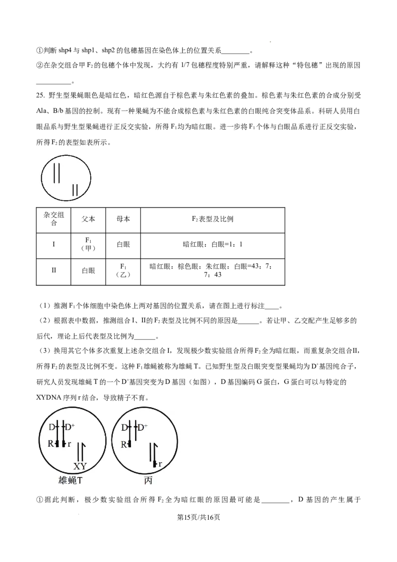 山东省泰安市2024-2025学年高三上学期11月期中考试生物_A1502026各地模拟卷（超值！）_11月_241124山东省泰安市2024-2025学年高三上学期11月期中考试