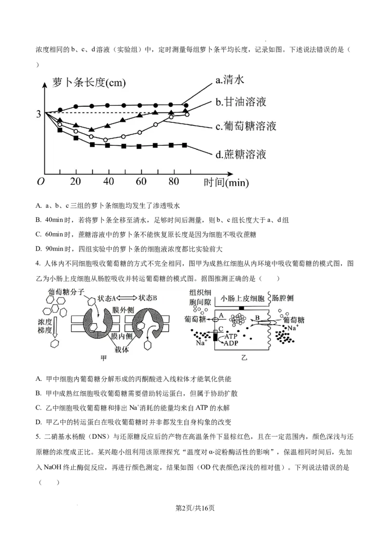 山东省泰安市2024-2025学年高三上学期11月期中考试生物_A1502026各地模拟卷（超值！）_11月_241124山东省泰安市2024-2025学年高三上学期11月期中考试