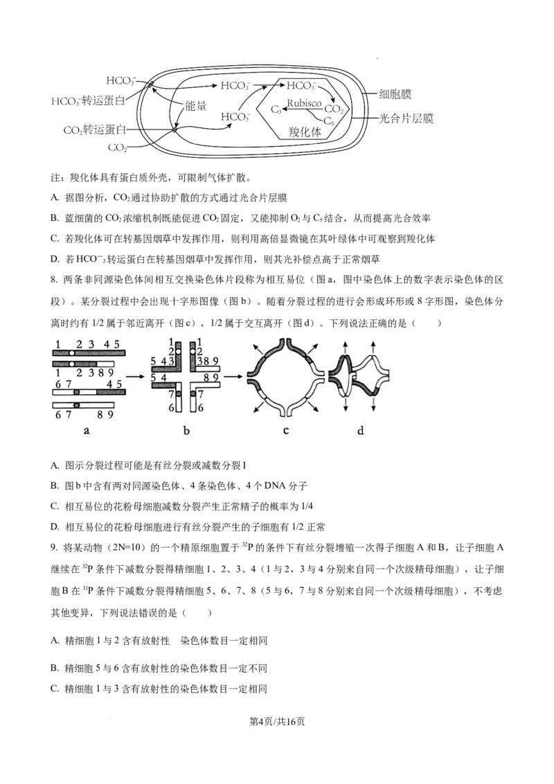 山东省泰安市2024-2025学年高三上学期11月期中考试生物_A1502026各地模拟卷（超值！）_11月_241124山东省泰安市2024-2025学年高三上学期11月期中考试