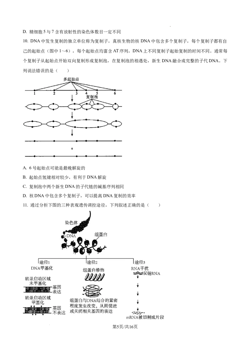 山东省泰安市2024-2025学年高三上学期11月期中考试生物_A1502026各地模拟卷（超值！）_11月_241124山东省泰安市2024-2025学年高三上学期11月期中考试
