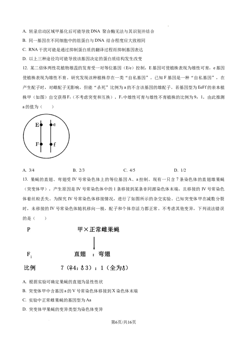 山东省泰安市2024-2025学年高三上学期11月期中考试生物_A1502026各地模拟卷（超值！）_11月_241124山东省泰安市2024-2025学年高三上学期11月期中考试