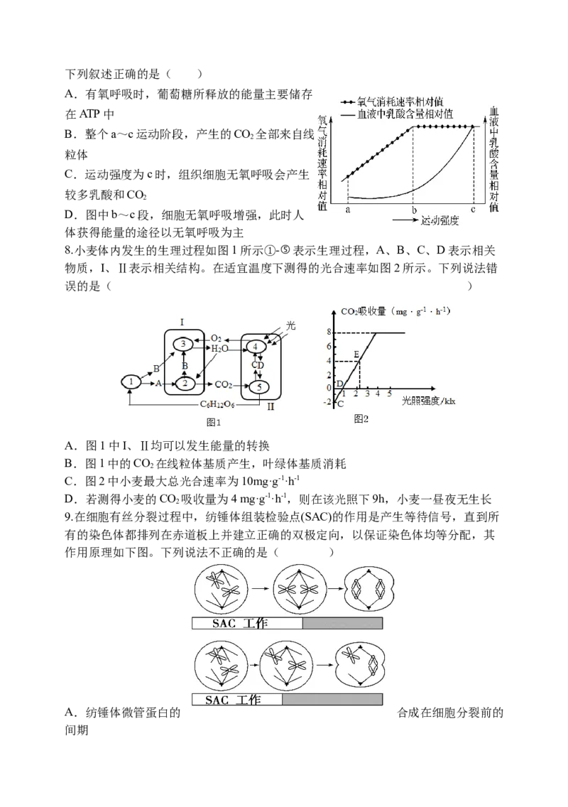 天津市静海区第一中学2024-2025学年高三上学期10月月考试题生物Word版含答案_A1502026各地模拟卷（超值！）_10月_241017天津市静海区第一中学2024-2025学年高三上学期10月月考