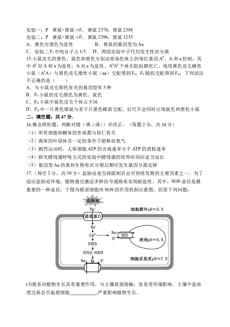 天津市静海区第一中学2024-2025学年高三上学期10月月考试题生物Word版含答案_A1502026各地模拟卷（超值！）_10月_241017天津市静海区第一中学2024-2025学年高三上学期10月月考