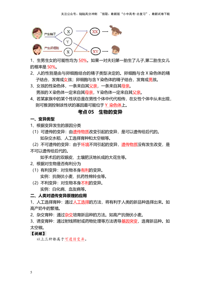专题21+生物的遗传和变异（背记帮）-备战2024年中考生物一轮复习考点帮_02中考总复习（2026版更新中）_08-生物-中考总复习_2024年中考复习资料_一轮复习_必背考点