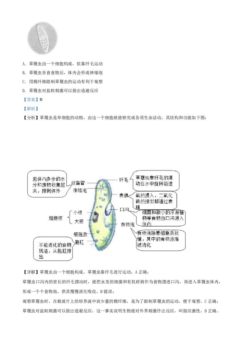 精品解析：北京市延庆区2019-2020学年七年级上学期期末生物试题（解析版）(1)_北京初中期末题_C605-京七八九_B京生物七八九_北京7上生物_2019-2020