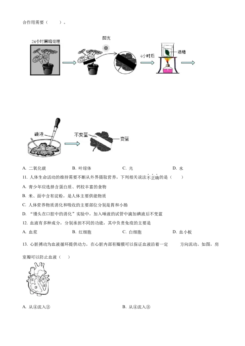 精品解析：北京市北京师范大学附属中学2020-2021学年八年级下学期期中生物试题（原卷版）(1)_北京初中期末题_C605-京七八九_B京生物七八九_北京八下生物