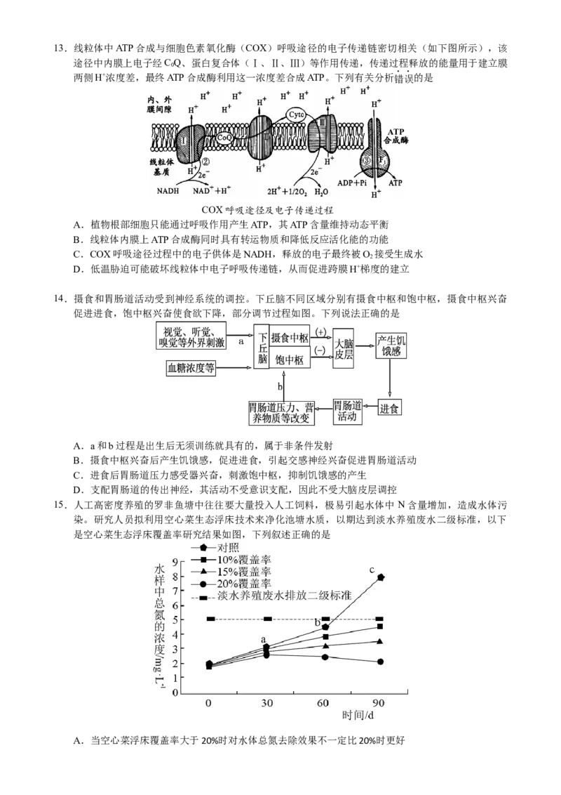 惠州市2025届高三第二次调研考试生物科试题（终定稿）_A1502026各地模拟卷（超值！）_10月_241025广东省惠州市2025届高三第二次调研考试