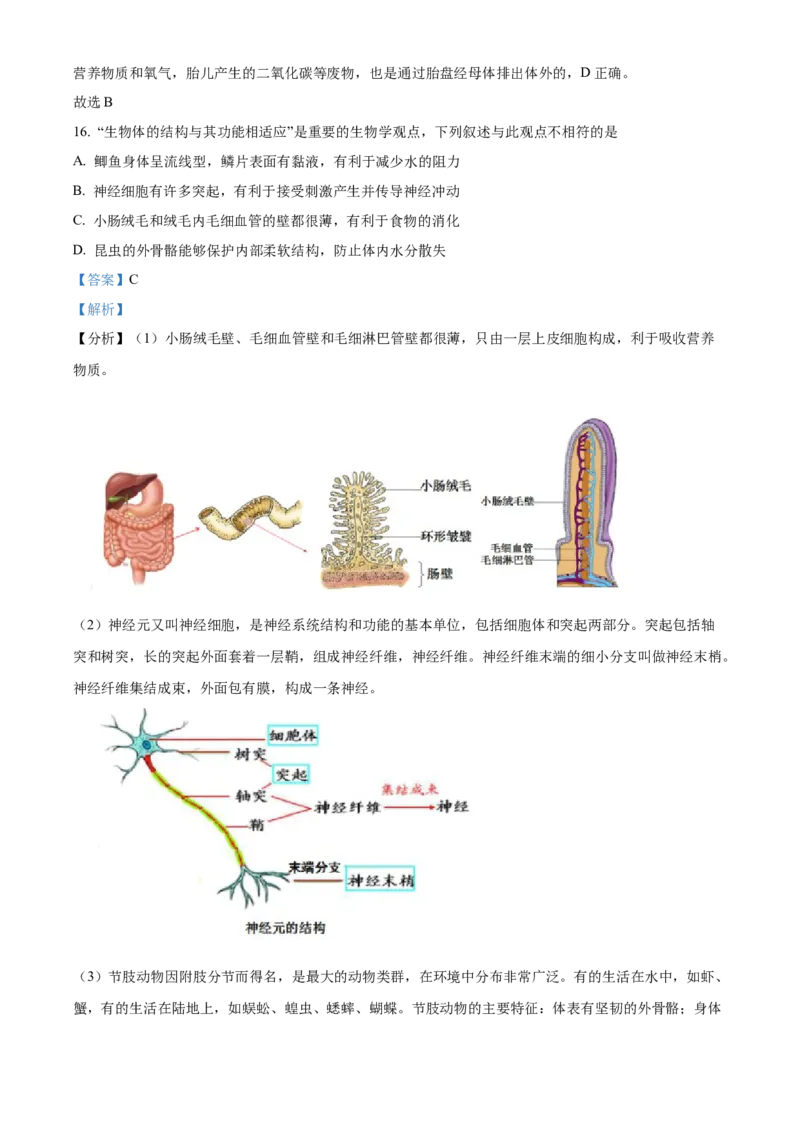 精品解析：北京市北师大附中2022--2023学年八年级下学期期中生物试题（解析版）(1)_北京初中期末题_C605-京七八九_B京生物七八九_北京八下生物