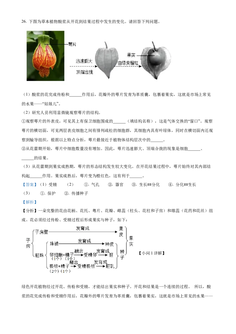 精品解析：2022年北京市海淀区中考二模生物试题（解析版）(1)_北京初中期末题_C605-京七八九_B京生物七八九_北京八下生物_精品解析：2022年北京市海淀区中考二模生物试题