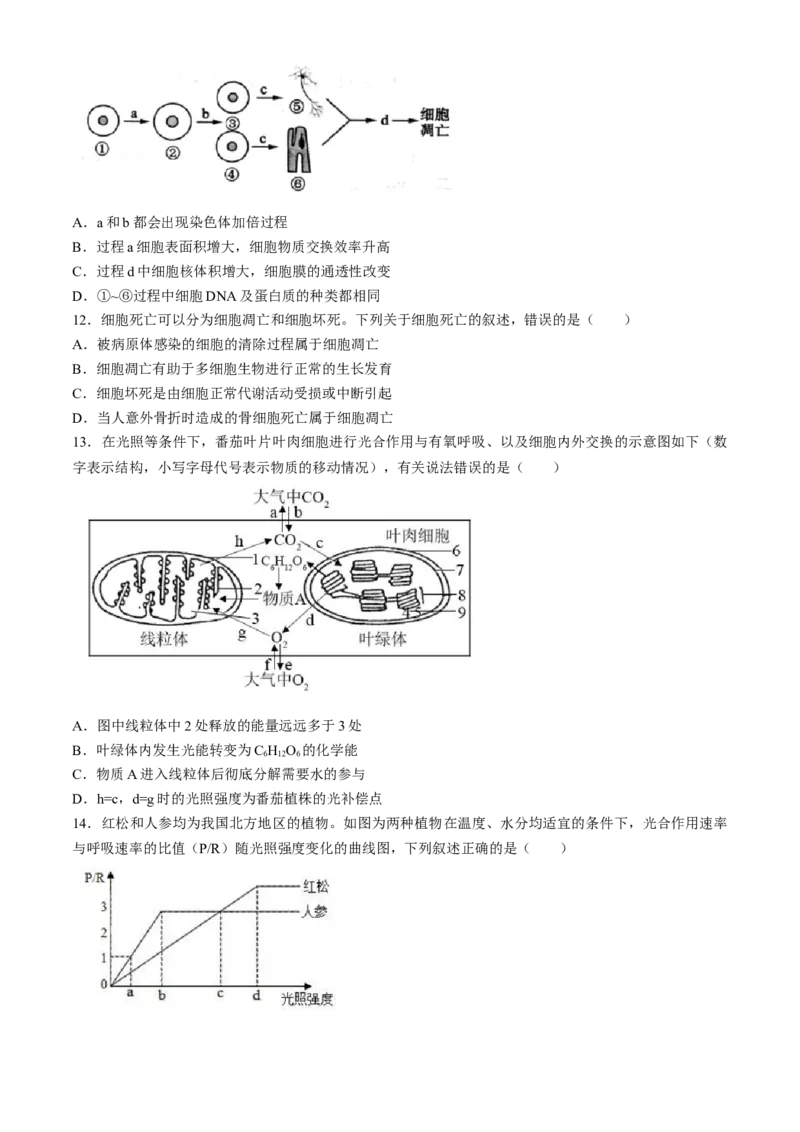 四川省成都列五中学2024-2025学年高三上学期入学摸底测试生物试题Word版含答案_A1502026各地模拟卷（超值！）_9月_240909四川省成都列五中学2024-2025学年高三上学期入学摸底测试