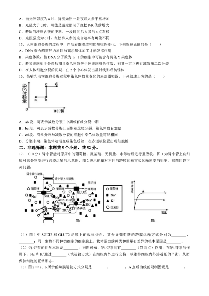 四川省成都列五中学2024-2025学年高三上学期入学摸底测试生物试题Word版含答案_A1502026各地模拟卷（超值！）_9月_240909四川省成都列五中学2024-2025学年高三上学期入学摸底测试