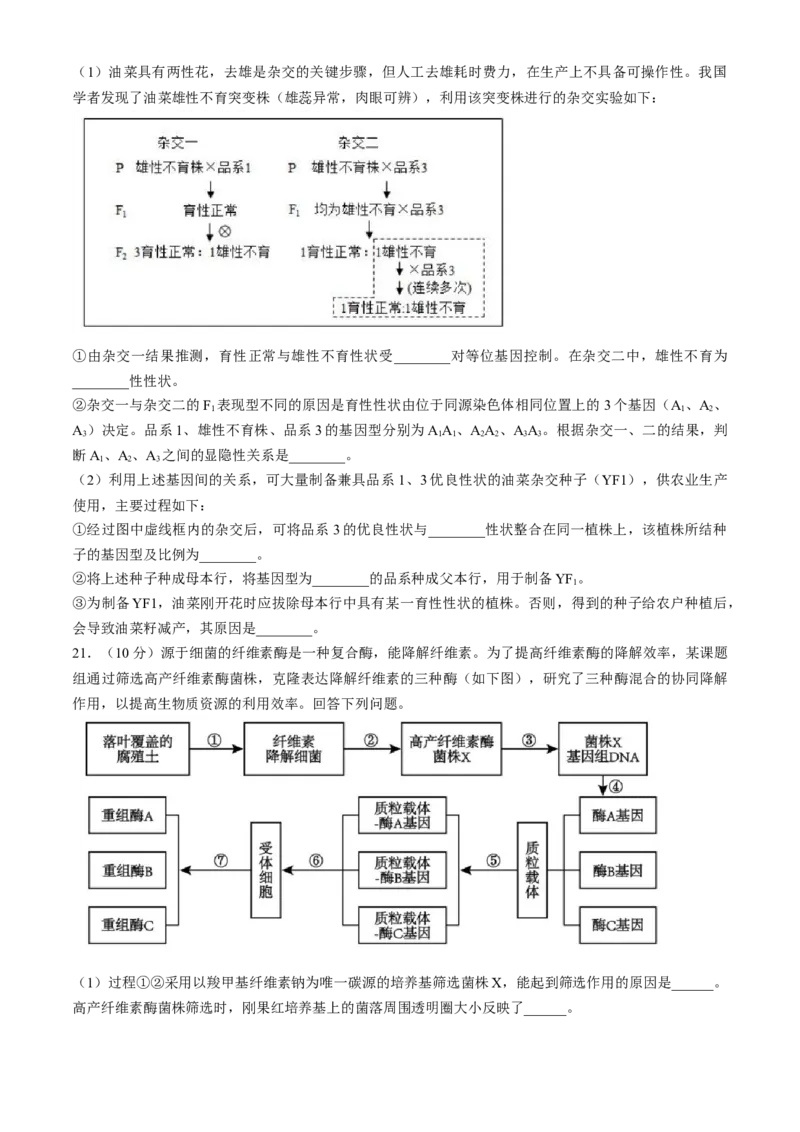 四川省成都列五中学2024-2025学年高三上学期入学摸底测试生物试题Word版含答案_A1502026各地模拟卷（超值！）_9月_240909四川省成都列五中学2024-2025学年高三上学期入学摸底测试