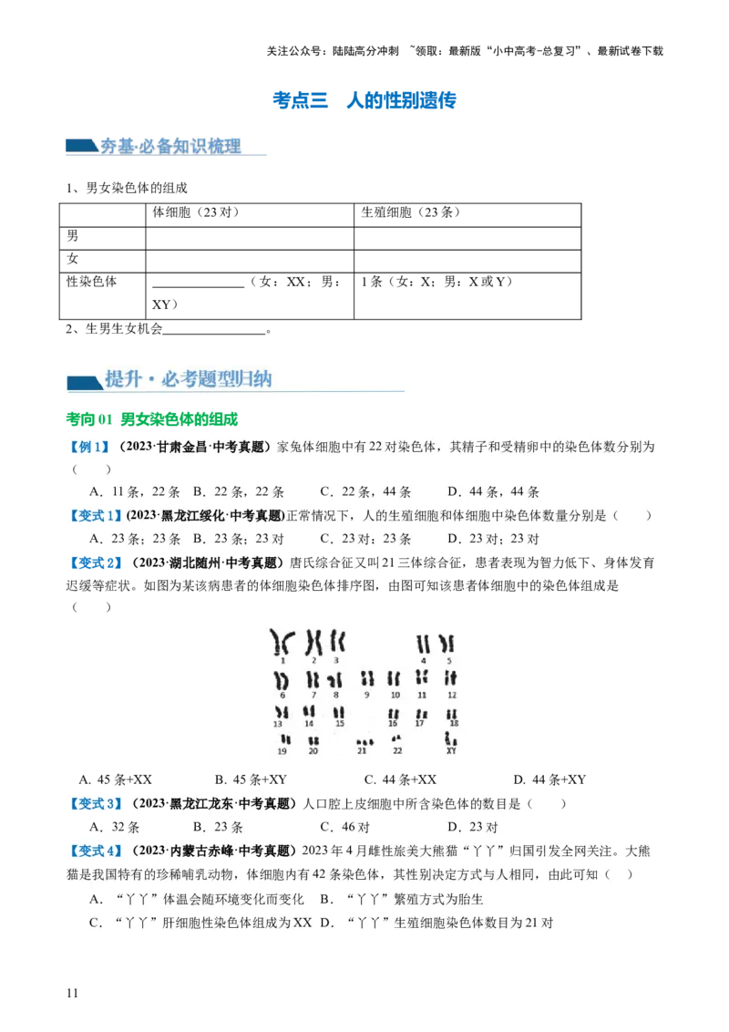 专题21生物的遗传和变异（讲义）（原卷版）_02中考总复习（2026版更新中）_08-生物-中考总复习_2024年中考复习资料_一轮复习_❤2024年中考生物一轮复习讲练测（全国通用）_讲义