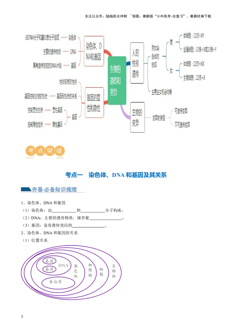 专题21生物的遗传和变异（讲义）（原卷版）_02中考总复习（2026版更新中）_08-生物-中考总复习_2024年中考复习资料_一轮复习_❤2024年中考生物一轮复习讲练测（全国通用）_讲义