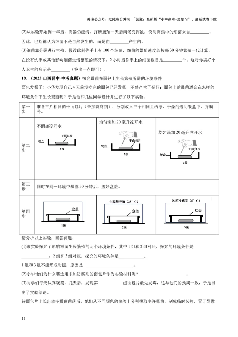 专题18细菌、真菌和病毒（练习）（原卷版）_02中考总复习（2026版更新中）_08-生物-中考总复习_2024年中考复习资料_一轮复习_❤2024年中考生物一轮复习讲练测（全国通用）_练习