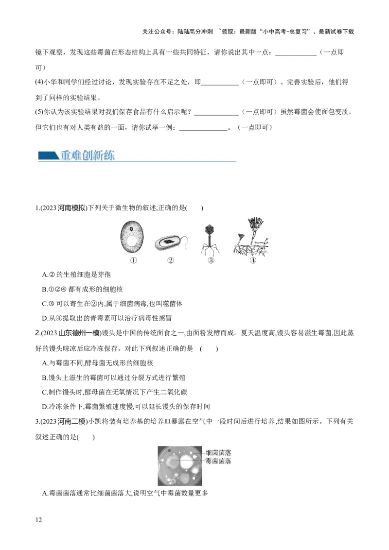 专题18细菌、真菌和病毒（练习）（原卷版）_02中考总复习（2026版更新中）_08-生物-中考总复习_2024年中考复习资料_一轮复习_❤2024年中考生物一轮复习讲练测（全国通用）_练习