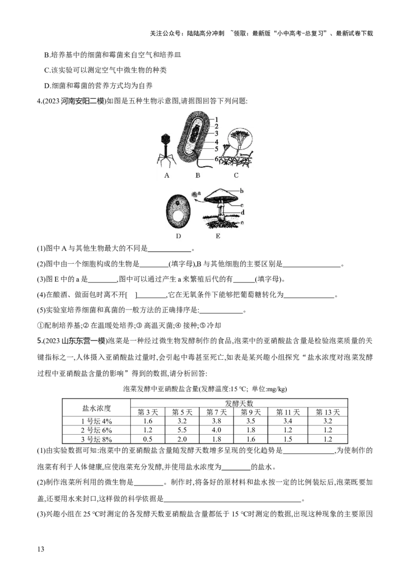 专题18细菌、真菌和病毒（练习）（原卷版）_02中考总复习（2026版更新中）_08-生物-中考总复习_2024年中考复习资料_一轮复习_❤2024年中考生物一轮复习讲练测（全国通用）_练习