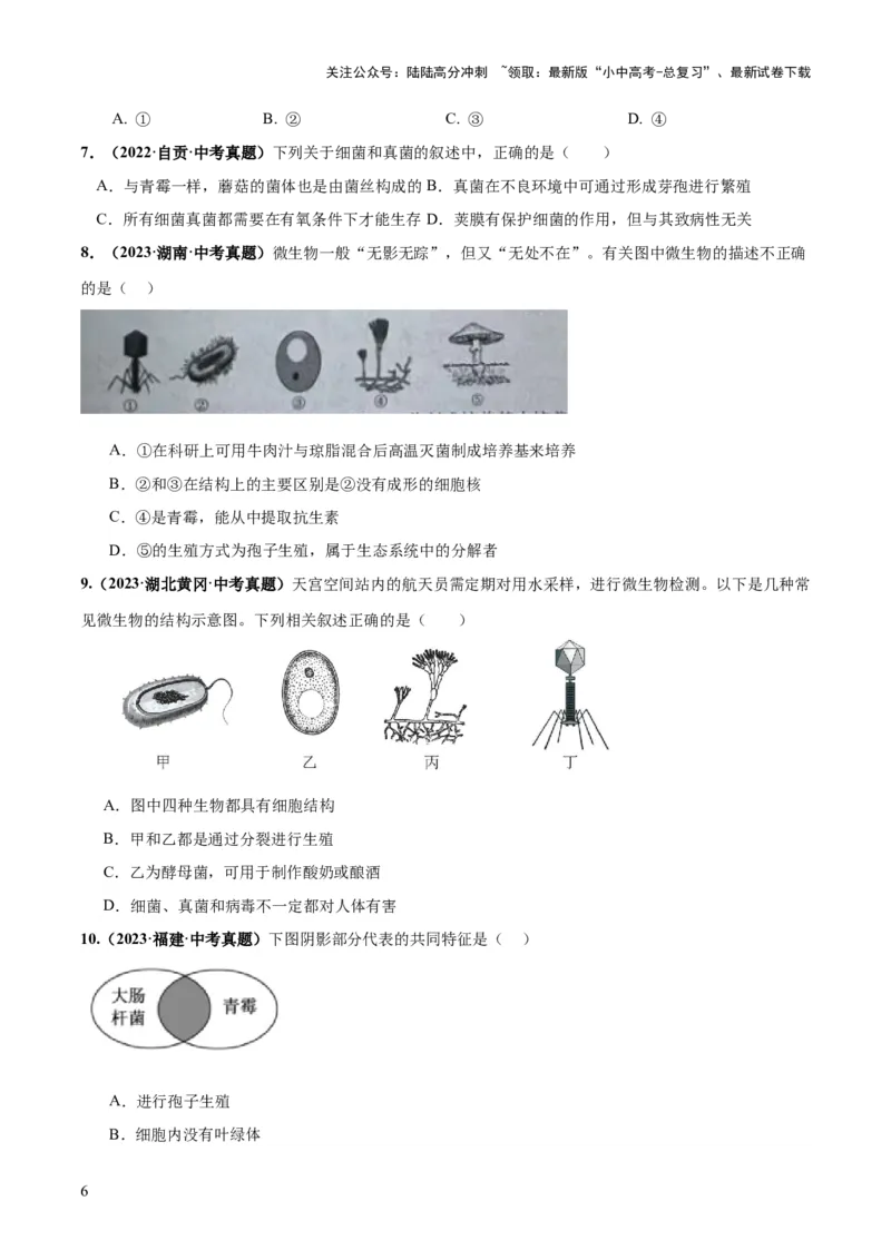 专题18细菌、真菌和病毒（练习）（原卷版）_02中考总复习（2026版更新中）_08-生物-中考总复习_2024年中考复习资料_一轮复习_❤2024年中考生物一轮复习讲练测（全国通用）_练习