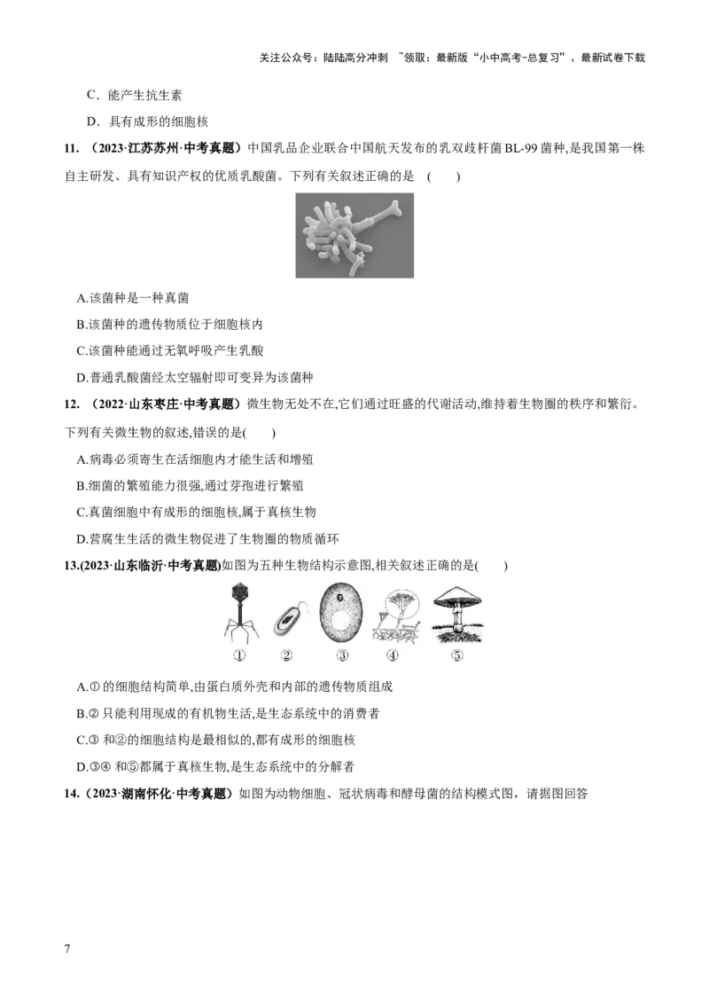 专题18细菌、真菌和病毒（练习）（原卷版）_02中考总复习（2026版更新中）_08-生物-中考总复习_2024年中考复习资料_一轮复习_❤2024年中考生物一轮复习讲练测（全国通用）_练习