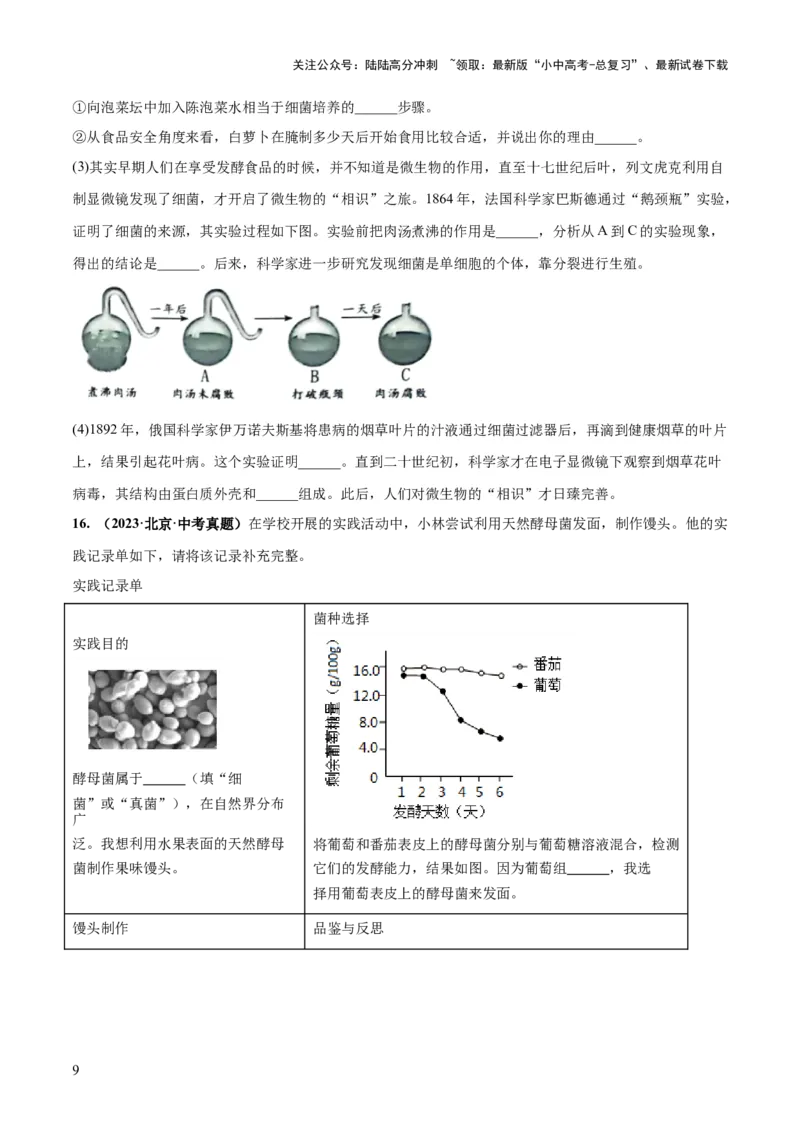专题18细菌、真菌和病毒（练习）（原卷版）_02中考总复习（2026版更新中）_08-生物-中考总复习_2024年中考复习资料_一轮复习_❤2024年中考生物一轮复习讲练测（全国通用）_练习