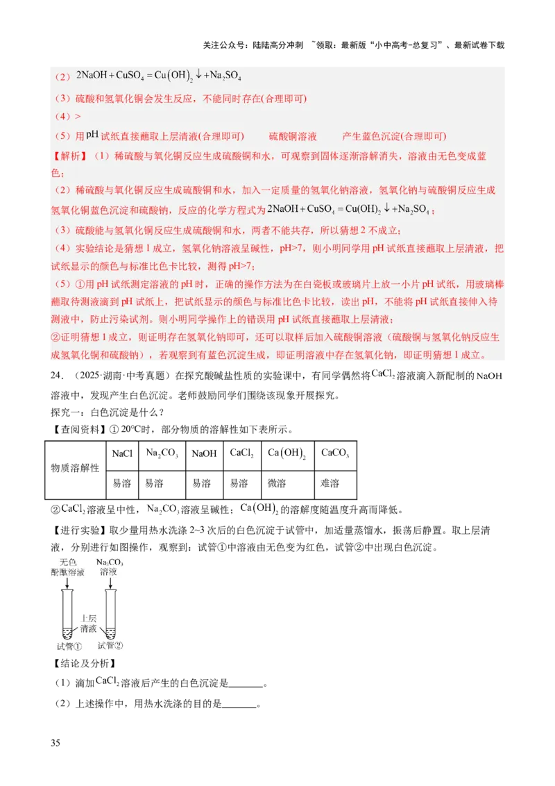 专题22实验探究题（解析版）_02中考总复习（2026版更新中）_05-化学-中考总复习_2026年中考复习（更新中）_好题汇编三年（2023-2025）中考化学真题分类汇编（全国通用）