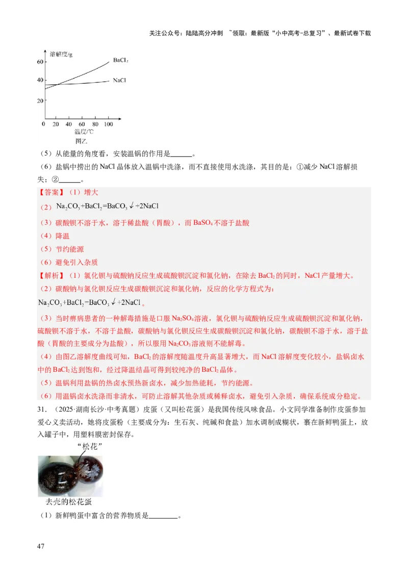 专题22实验探究题（解析版）_02中考总复习（2026版更新中）_05-化学-中考总复习_2026年中考复习（更新中）_好题汇编三年（2023-2025）中考化学真题分类汇编（全国通用）