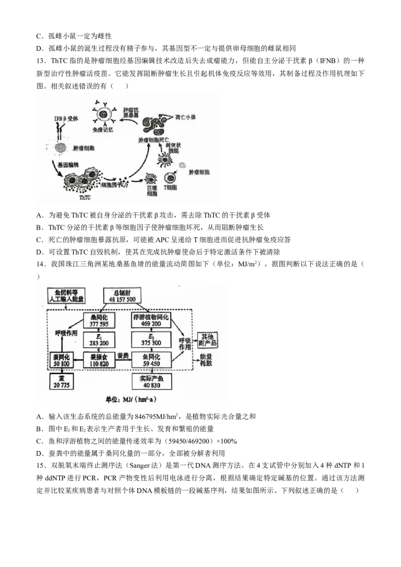 广东省六校2025届高三上学期10月联考生物试题（含答案）_A1502026各地模拟卷（超值！）_10月_2410172025届广东省六校高三上学期10月联考