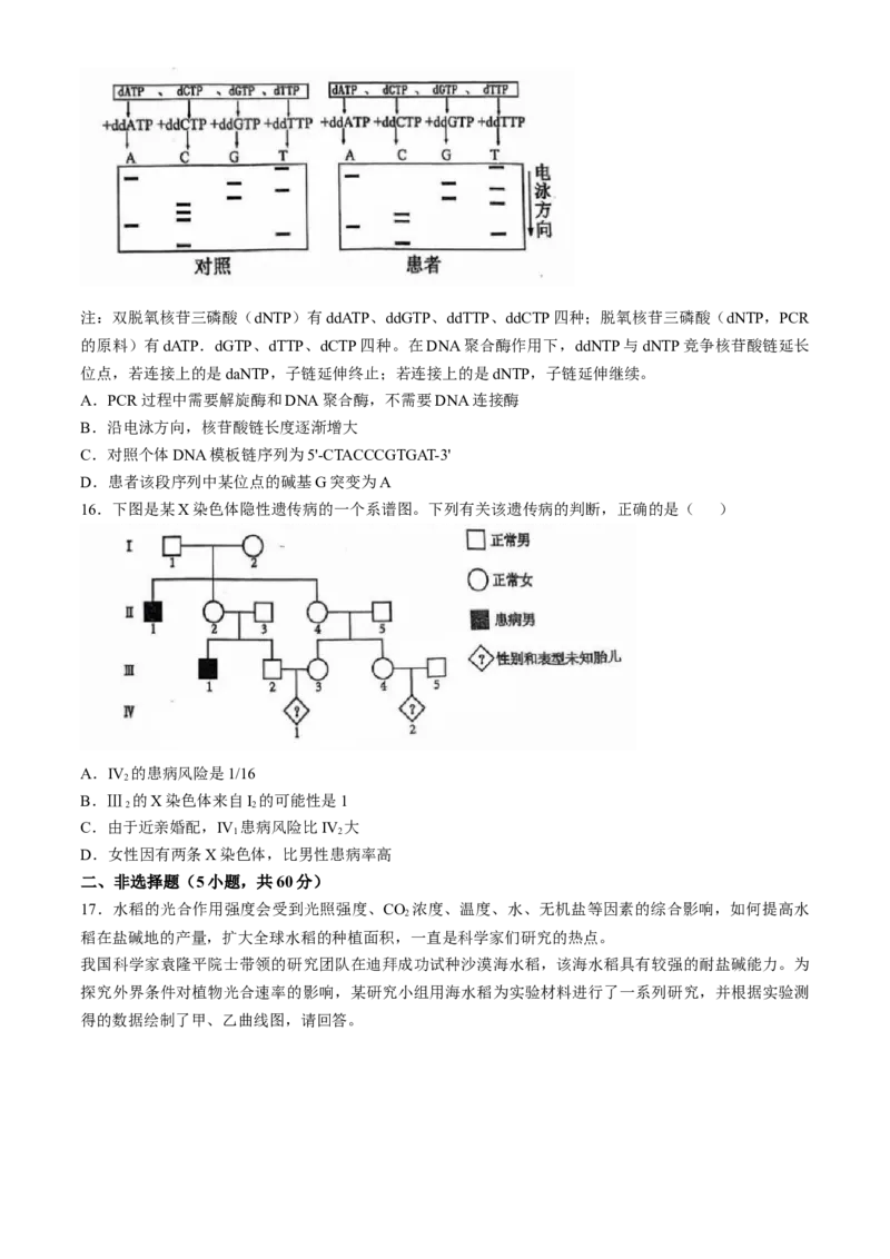 广东省六校2025届高三上学期10月联考生物试题（含答案）_A1502026各地模拟卷（超值！）_10月_2410172025届广东省六校高三上学期10月联考