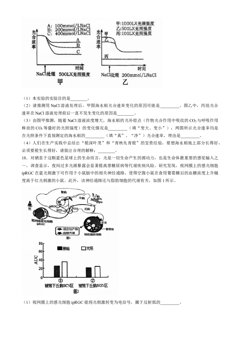 广东省六校2025届高三上学期10月联考生物试题（含答案）_A1502026各地模拟卷（超值！）_10月_2410172025届广东省六校高三上学期10月联考