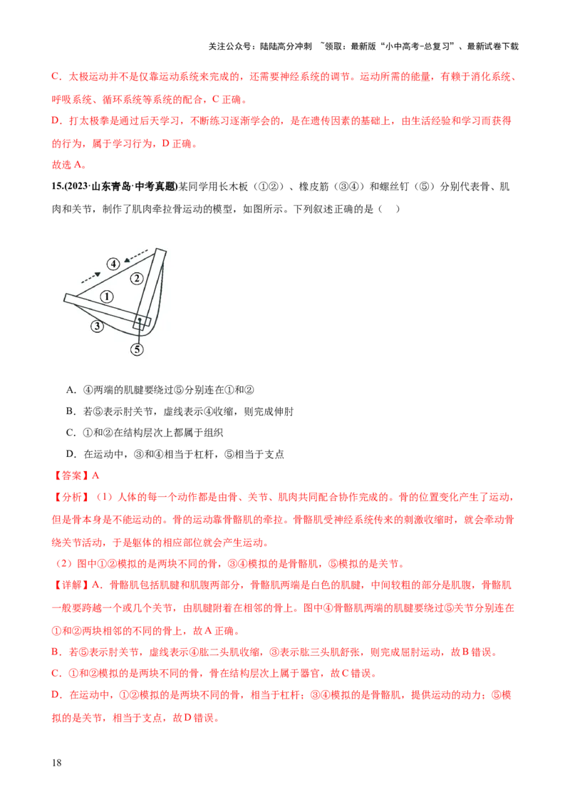 专题17动物的运动和行为、动物在生物圈中的作用（练习）（解析版）_02中考总复习（2026版更新中）_08-生物-中考总复习_2024年中考复习资料_一轮复习_练习