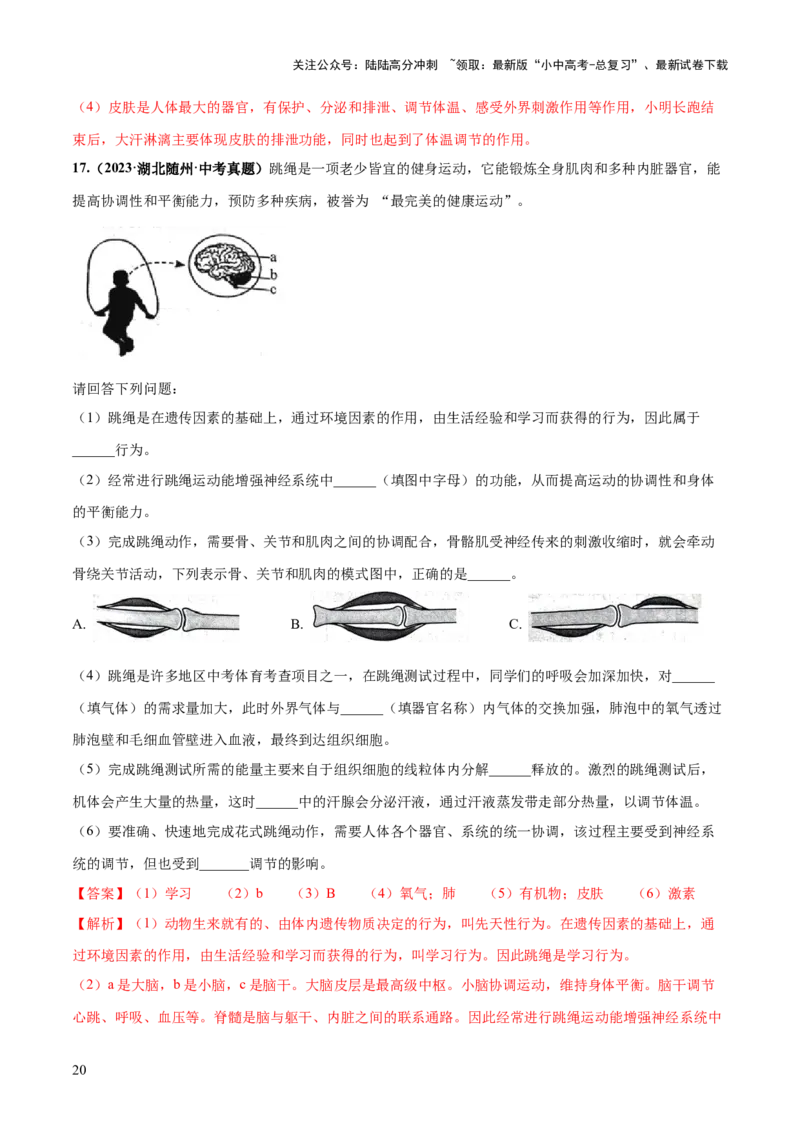 专题17动物的运动和行为、动物在生物圈中的作用（练习）（解析版）_02中考总复习（2026版更新中）_08-生物-中考总复习_2024年中考复习资料_一轮复习_练习