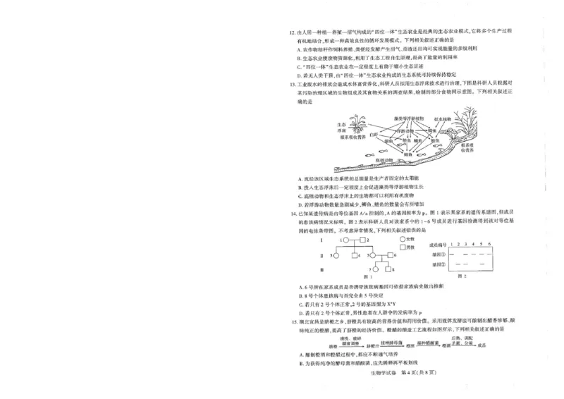 圆创高三11月联考生物试卷(1)_A1502026各地模拟卷（超值！）_11月_241108湖北省高中名校联盟2025届高三11月第二次联合测评（圆创联盟）_生物