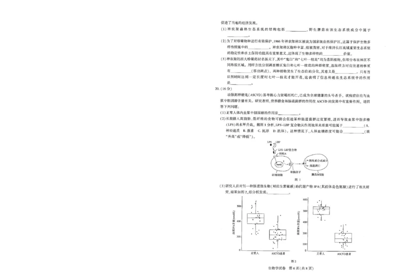 圆创高三11月联考生物试卷(1)_A1502026各地模拟卷（超值！）_11月_241108湖北省高中名校联盟2025届高三11月第二次联合测评（圆创联盟）_生物