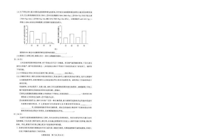 圆创高三11月联考生物试卷(1)_A1502026各地模拟卷（超值！）_11月_241108湖北省高中名校联盟2025届高三11月第二次联合测评（圆创联盟）_生物