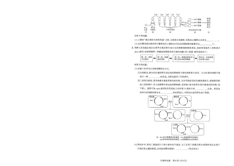 圆创高三11月联考生物试卷(1)_A1502026各地模拟卷（超值！）_11月_241108湖北省高中名校联盟2025届高三11月第二次联合测评（圆创联盟）_生物