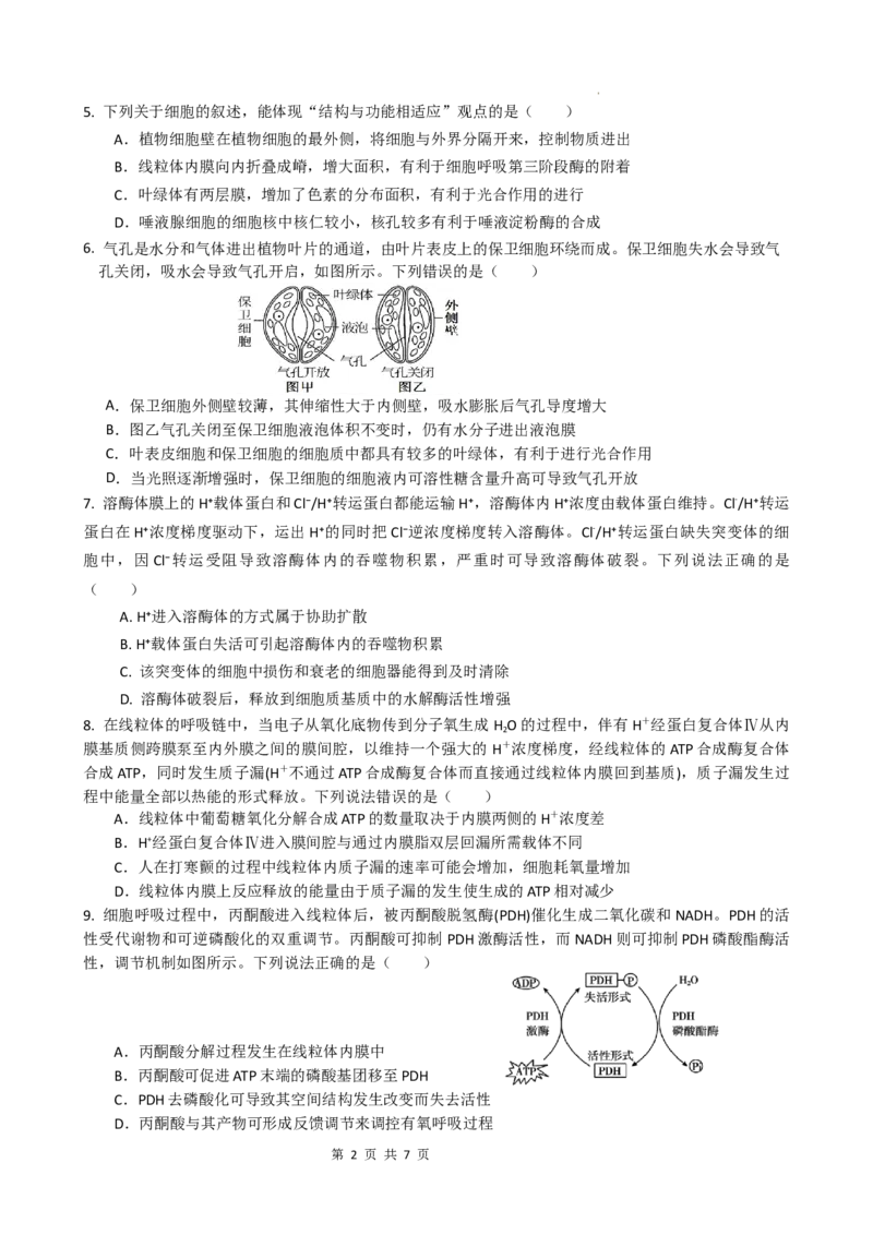 四川省绵阳南山中学2024-2025学年高三上学期9月月考生物试题_A1502026各地模拟卷（超值！）_9月_240918四川省绵阳南山中学2024-2025学年高三上学期9月月考