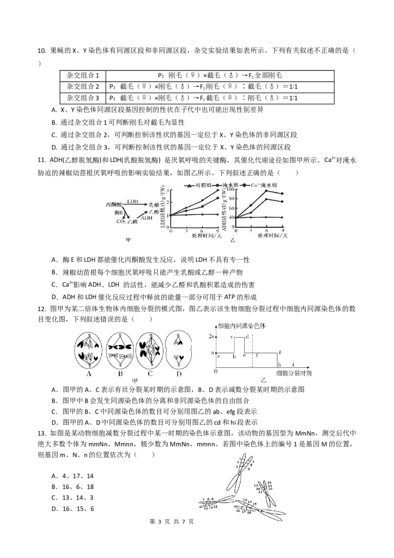 四川省绵阳南山中学2024-2025学年高三上学期9月月考生物试题_A1502026各地模拟卷（超值！）_9月_240918四川省绵阳南山中学2024-2025学年高三上学期9月月考
