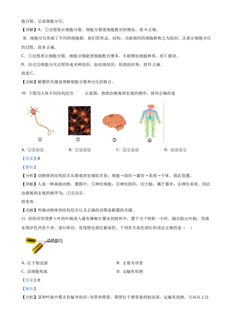 精品解析：北京市昌平区2020-2021学年七年级上学期期末生物试题（解析版）(1)_北京初中期末题_C605-京七八九_B京生物七八九_北京7上生物_2020-2021