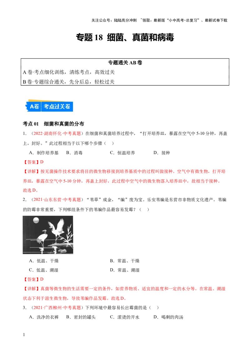 专题18细菌、真菌和病毒（解析版）_02中考总复习（2026版更新中）_08-生物-中考总复习_2024年中考复习资料_一轮复习_❤备战2024年中考生物一轮复习考点帮（全国通用）_练习