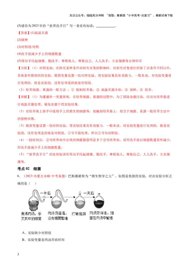 专题18细菌、真菌和病毒（解析版）_02中考总复习（2026版更新中）_08-生物-中考总复习_2024年中考复习资料_一轮复习_❤备战2024年中考生物一轮复习考点帮（全国通用）_练习