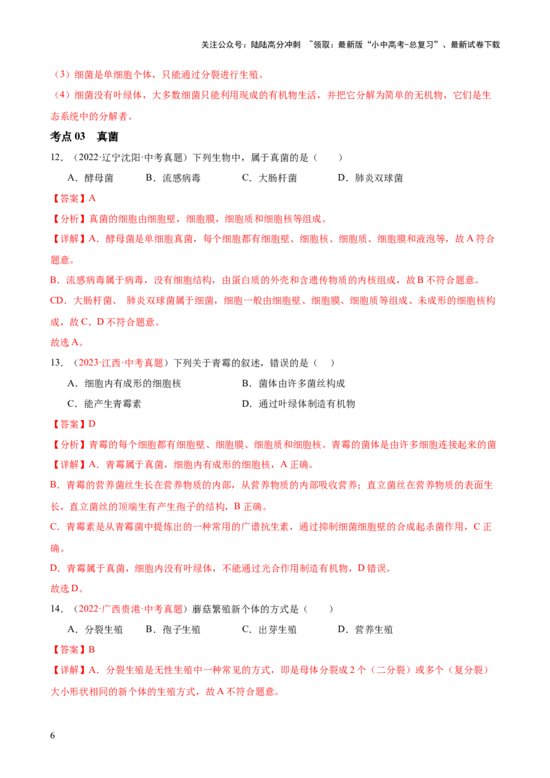 专题18细菌、真菌和病毒（解析版）_02中考总复习（2026版更新中）_08-生物-中考总复习_2024年中考复习资料_一轮复习_❤备战2024年中考生物一轮复习考点帮（全国通用）_练习