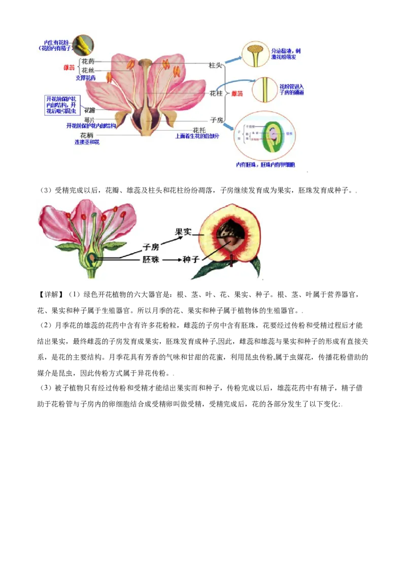 精品解析：北京市东城区2019-2020学年七年级上学期期末生物试题（解析版）(1)_北京初中期末题_C605-京七八九_B京生物七八九_北京7上生物_2019-2020