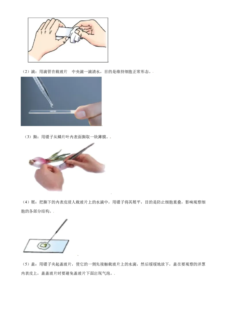 精品解析：北京市东城区2019-2020学年七年级上学期期末生物试题（解析版）(1)_北京初中期末题_C605-京七八九_B京生物七八九_北京7上生物_2019-2020