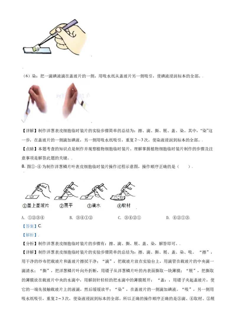 精品解析：北京市东城区2019-2020学年七年级上学期期末生物试题（解析版）(1)_北京初中期末题_C605-京七八九_B京生物七八九_北京7上生物_2019-2020