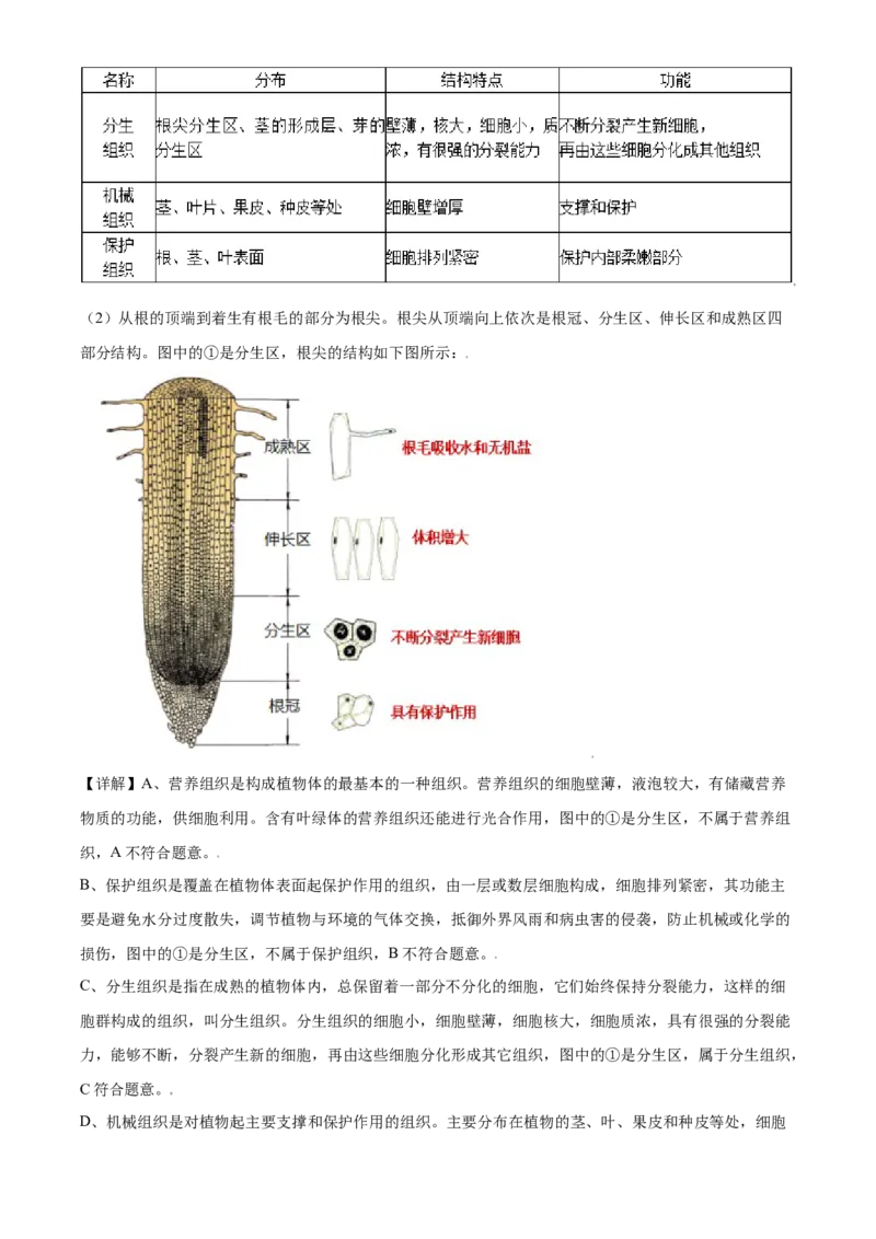 精品解析：北京市东城区2019-2020学年七年级上学期期末生物试题（解析版）(1)_北京初中期末题_C605-京七八九_B京生物七八九_北京7上生物_2019-2020