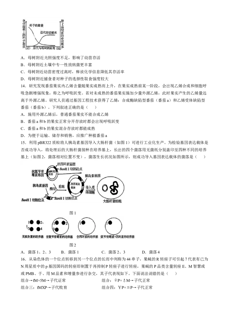 广东省清远市2024&mdash;2025学年高三上学期第一次模拟考试生物试题(无答案)_A1502026各地模拟卷（超值！）_10月_241023广东省清远市2024-2025学年高三上学期一模考试（5048C）